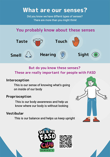 What are our senses?